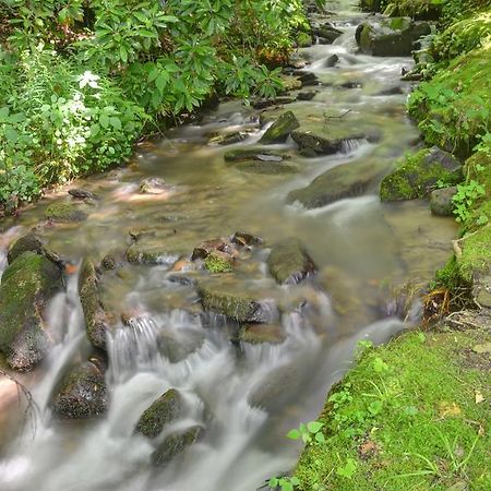 צ'ירוקי Panther Creek Cabins מראה חיצוני תמונה