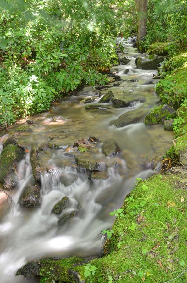 צ'ירוקי Panther Creek Cabins מראה חיצוני תמונה